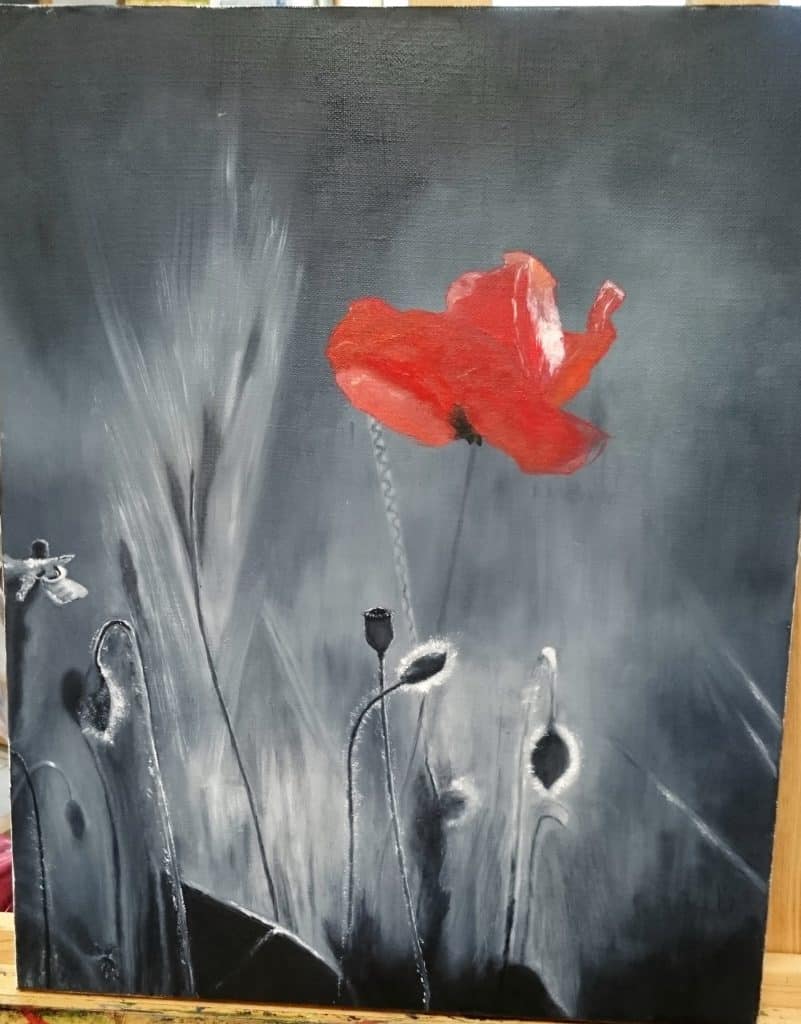 Coquelicot