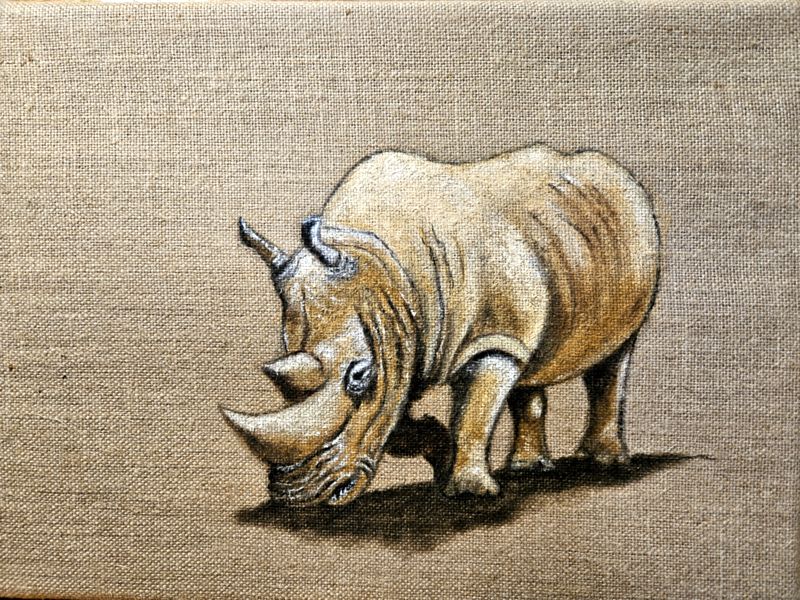 Un Rhinoceros